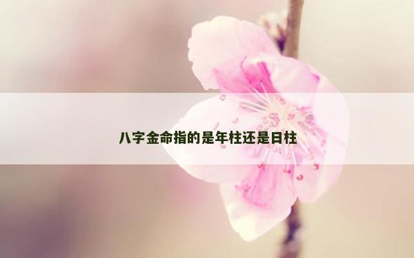 八字金命指的是年柱还是日柱