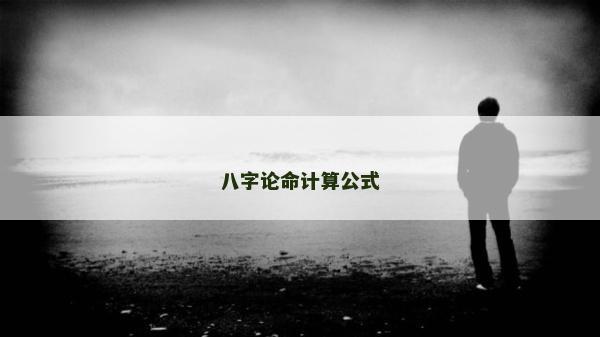 八字论命计算公式