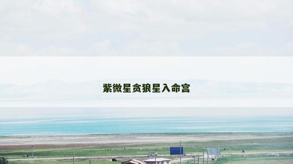紫微星贪狼星入命宫