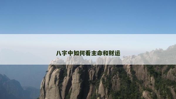 八字中如何看主命和财运