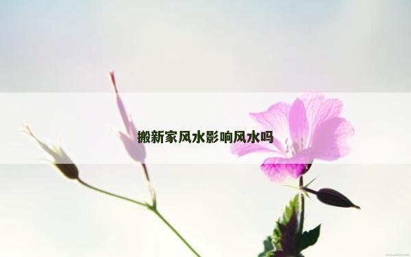 搬新家风水影响风水吗
