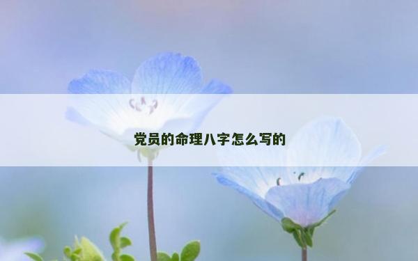 党员的命理八字怎么写的