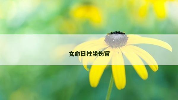 女命日柱坐伤官