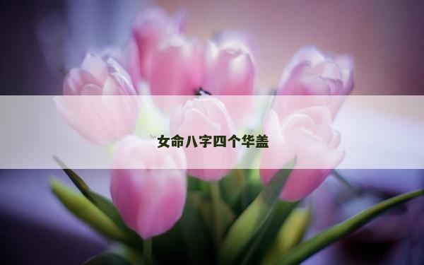 女命八字四个华盖