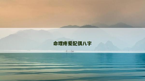 命理疼爱配偶八字