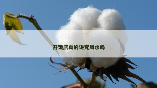 开饭店真的讲究风水吗