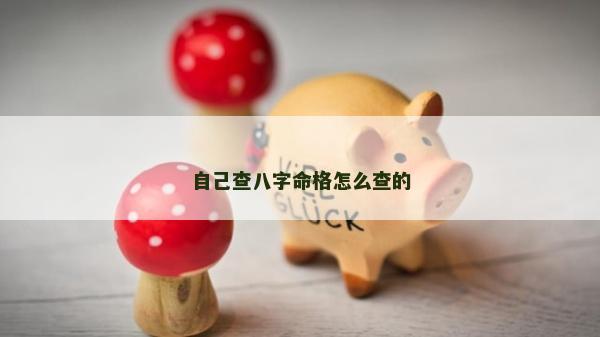 自己查八字命格怎么查的