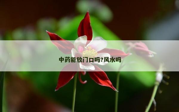 中药能放门口吗?风水吗