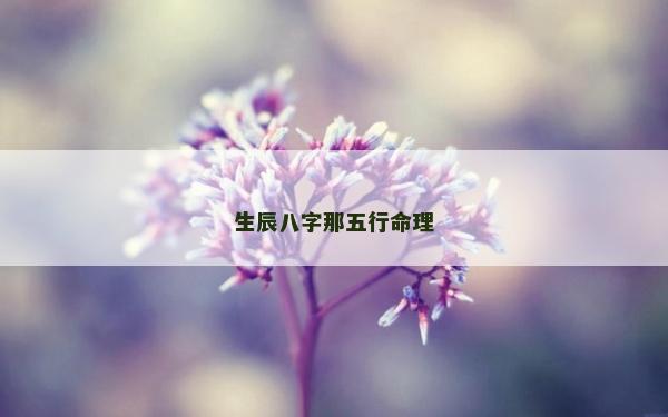 生辰八字那五行命理