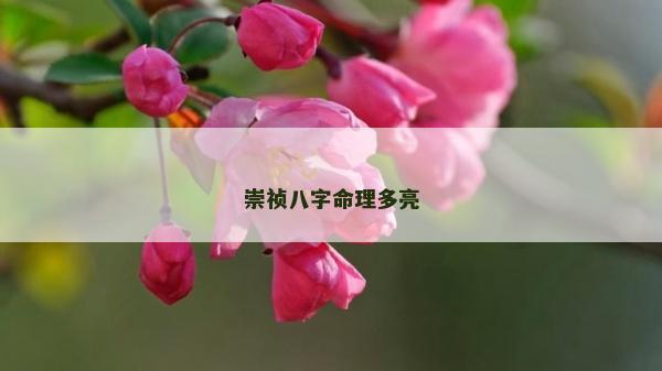 崇祯八字命理多亮