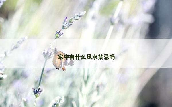 家中有什么风水禁忌吗