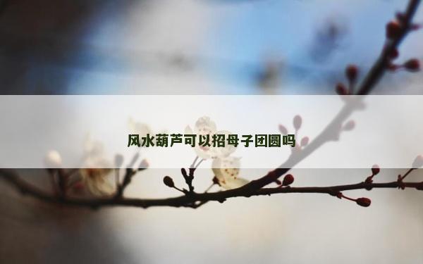风水葫芦可以招母子团圆吗