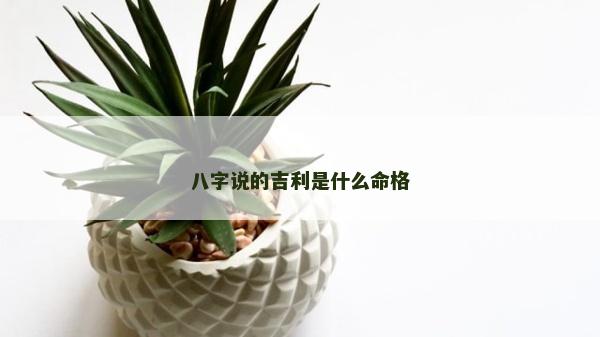 八字说的吉利是什么命格
