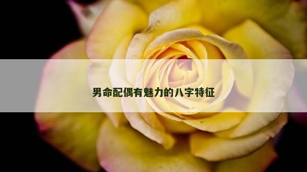 男命配偶有魅力的八字特征
