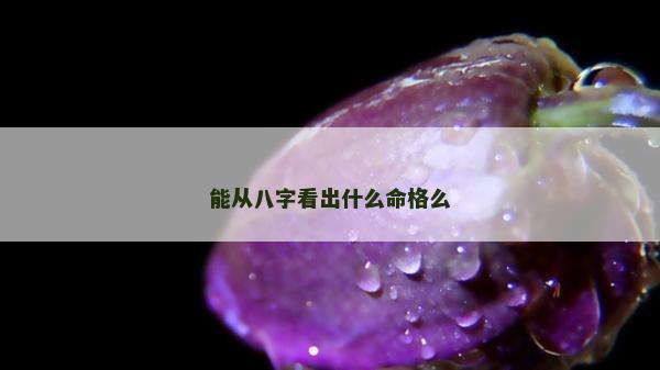 能从八字看出什么命格么
