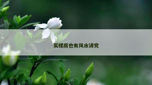 买楼房也有风水讲究