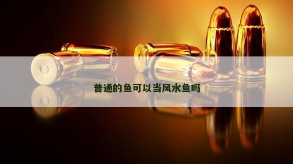 普通的鱼可以当风水鱼吗
