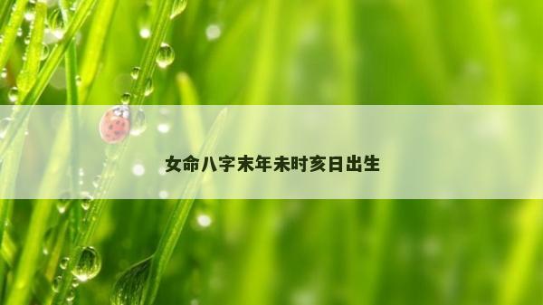 女命八字末年未时亥日出生