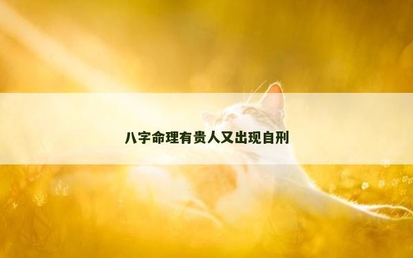 八字命理有贵人又出现自刑