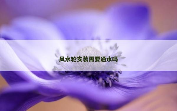 风水轮安装需要通水吗