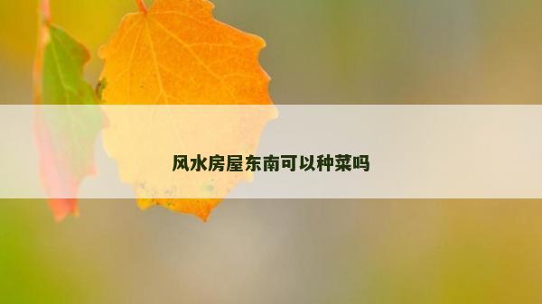 风水房屋东南可以种菜吗
