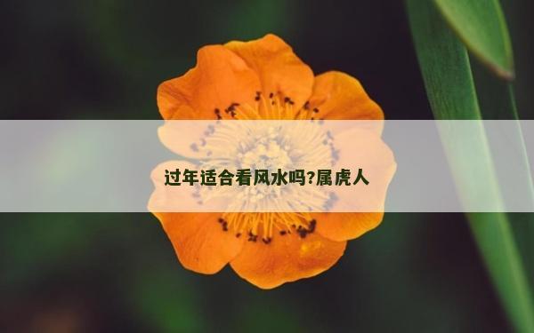 过年适合看风水吗?属虎人