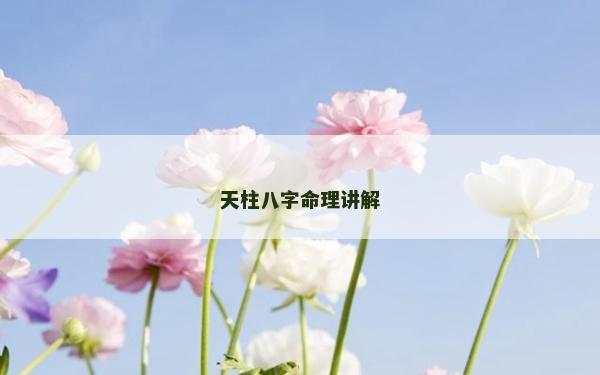 天柱八字命理讲解
