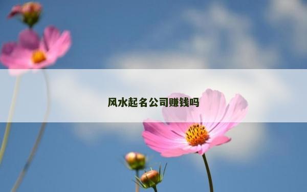风水起名公司赚钱吗