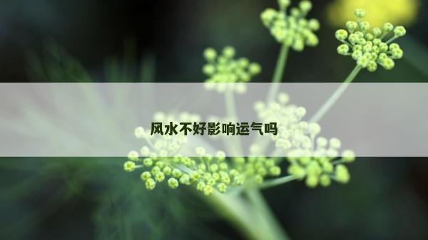 风水不好影响运气吗