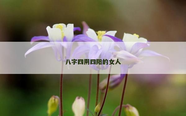 八字四阴四阳的女人