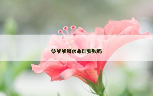 蔡爷爷风水命理要钱吗
