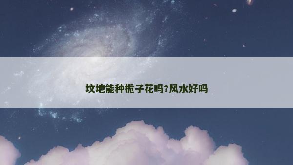 坟地能种栀子花吗?风水好吗