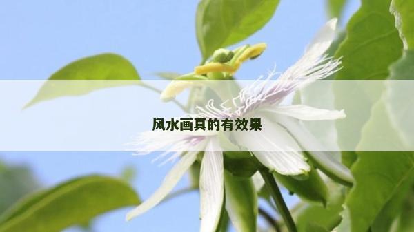 风水画真的有效果