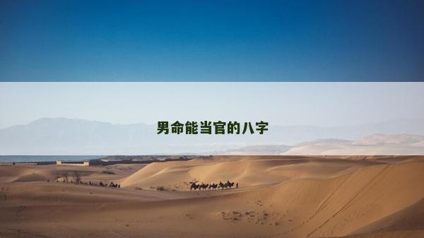 男命能当官的八字