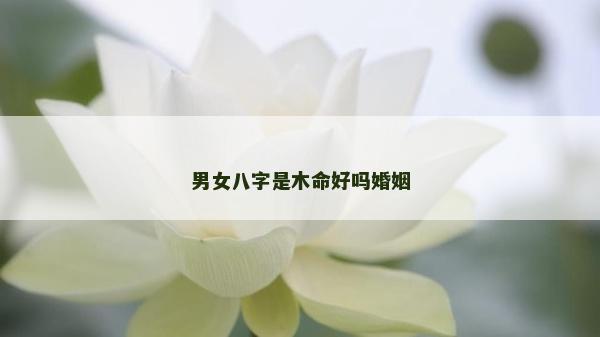 男女八字是木命好吗婚姻