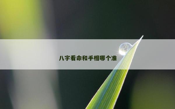 八字看命和手相哪个准