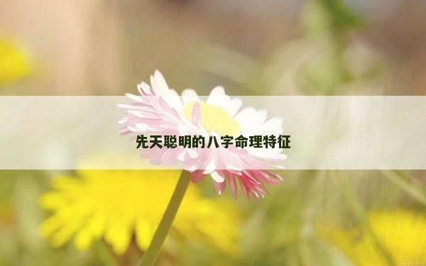 先天聪明的八字命理特征