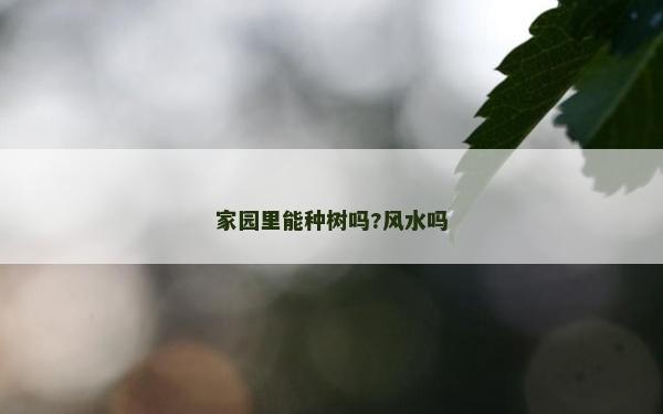 家园里能种树吗?风水吗