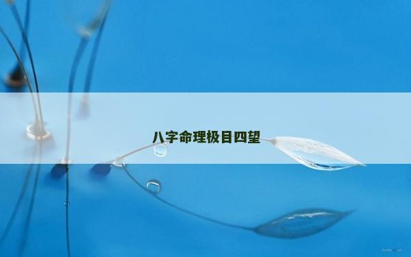 八字命理极目四望