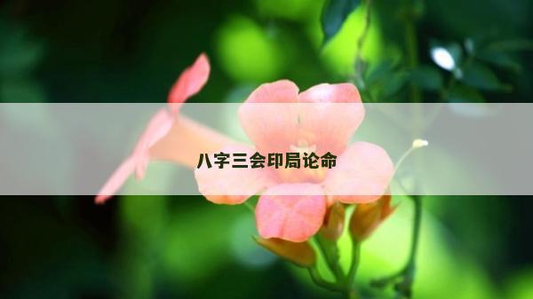 八字三会印局论命