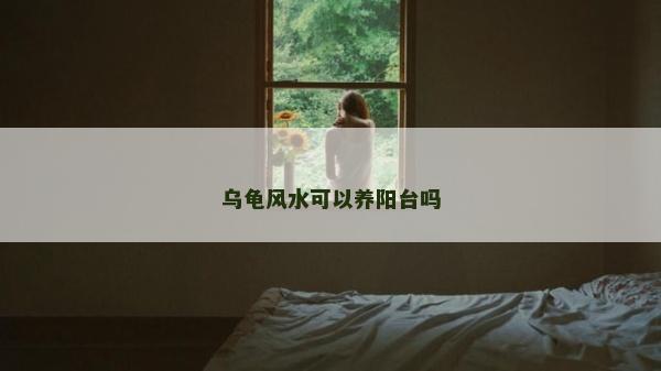 乌龟风水可以养阳台吗