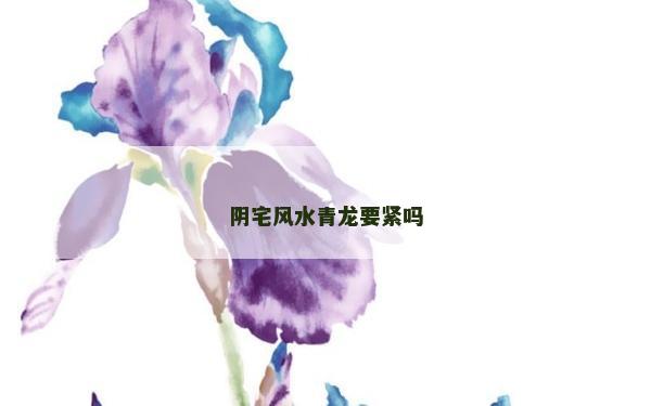 阴宅风水青龙要紧吗