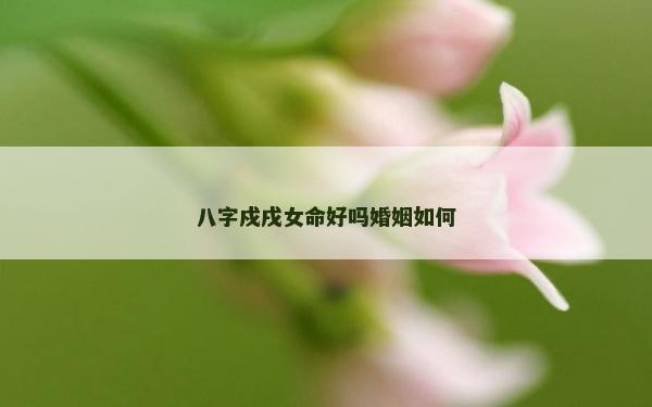 八字戍戌女命好吗婚姻如何