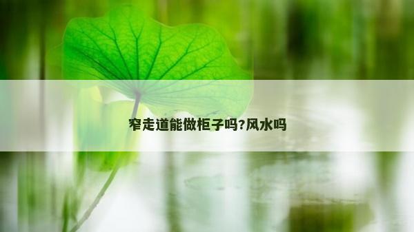 窄走道能做柜子吗?风水吗