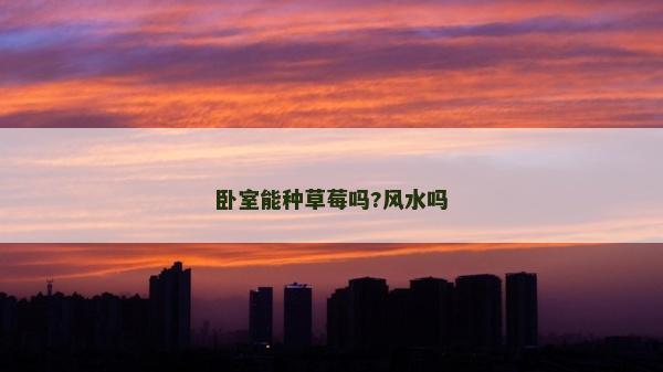 卧室能种草莓吗?风水吗