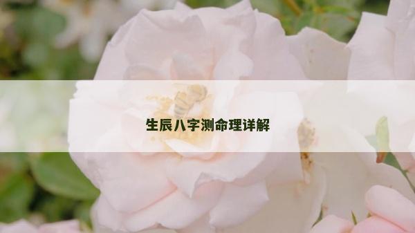 生辰八字测命理详解