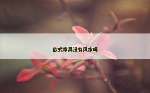 欧式家具没有风水吗