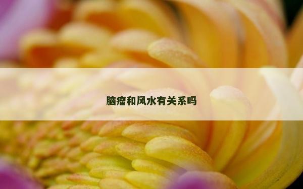 脑瘤和风水有关系吗