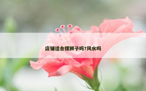 店铺适合摆狮子吗?风水吗