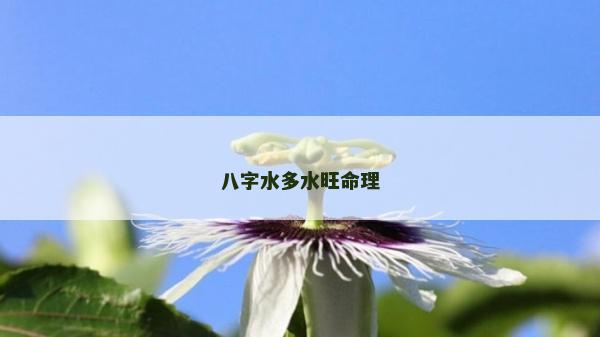 八字水多水旺命理
